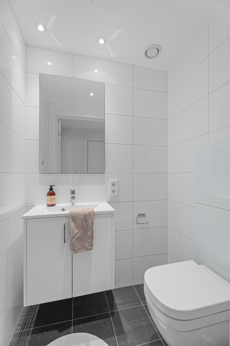 Gjestetoalett. Galleribilde