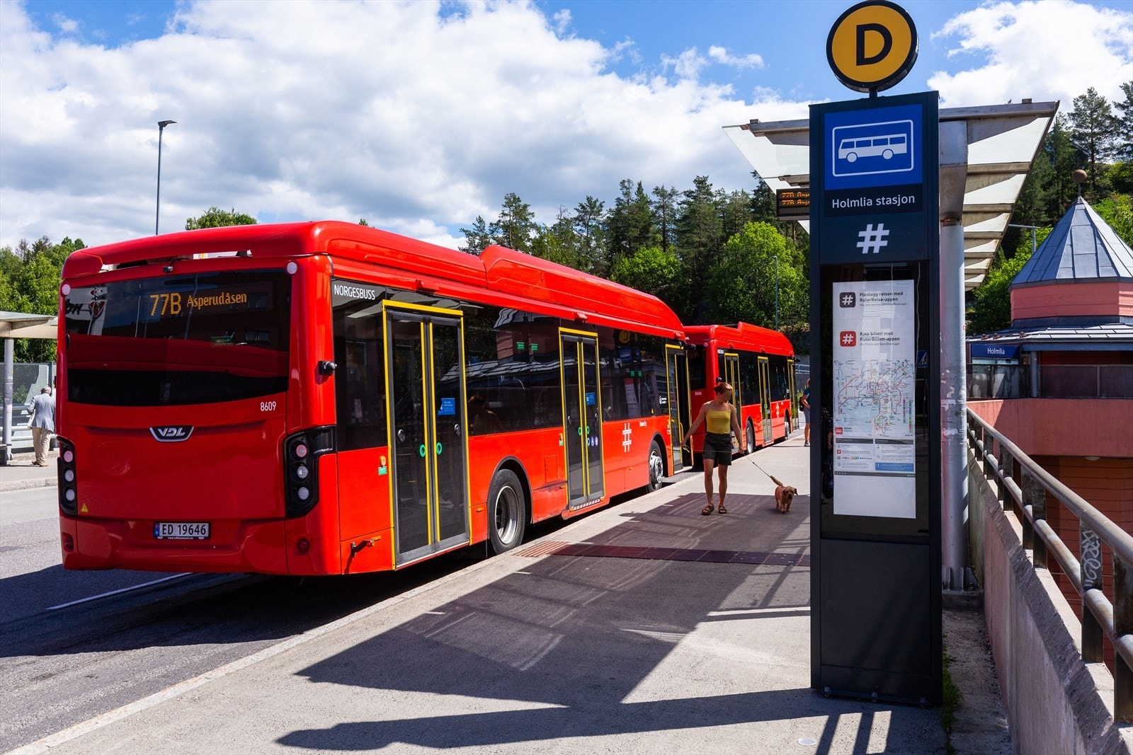 Fra Holmlia stasjon kan du enkelt ta deg til sentrum via både buss og tog. Galleribilde