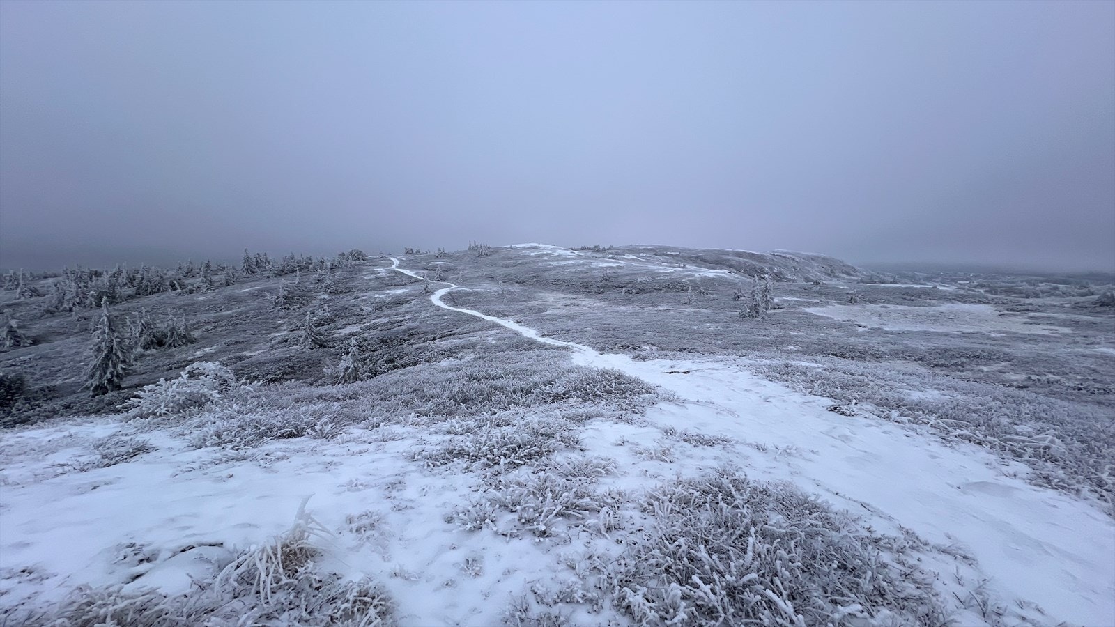 Senhøstbilde tatt av selger Galleribilde