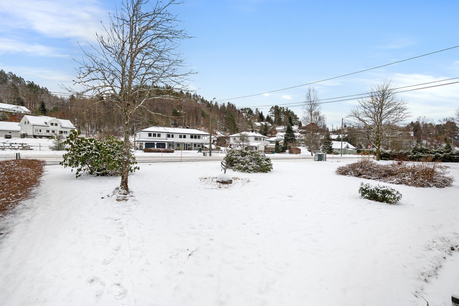 Del av tomten Galleribilde