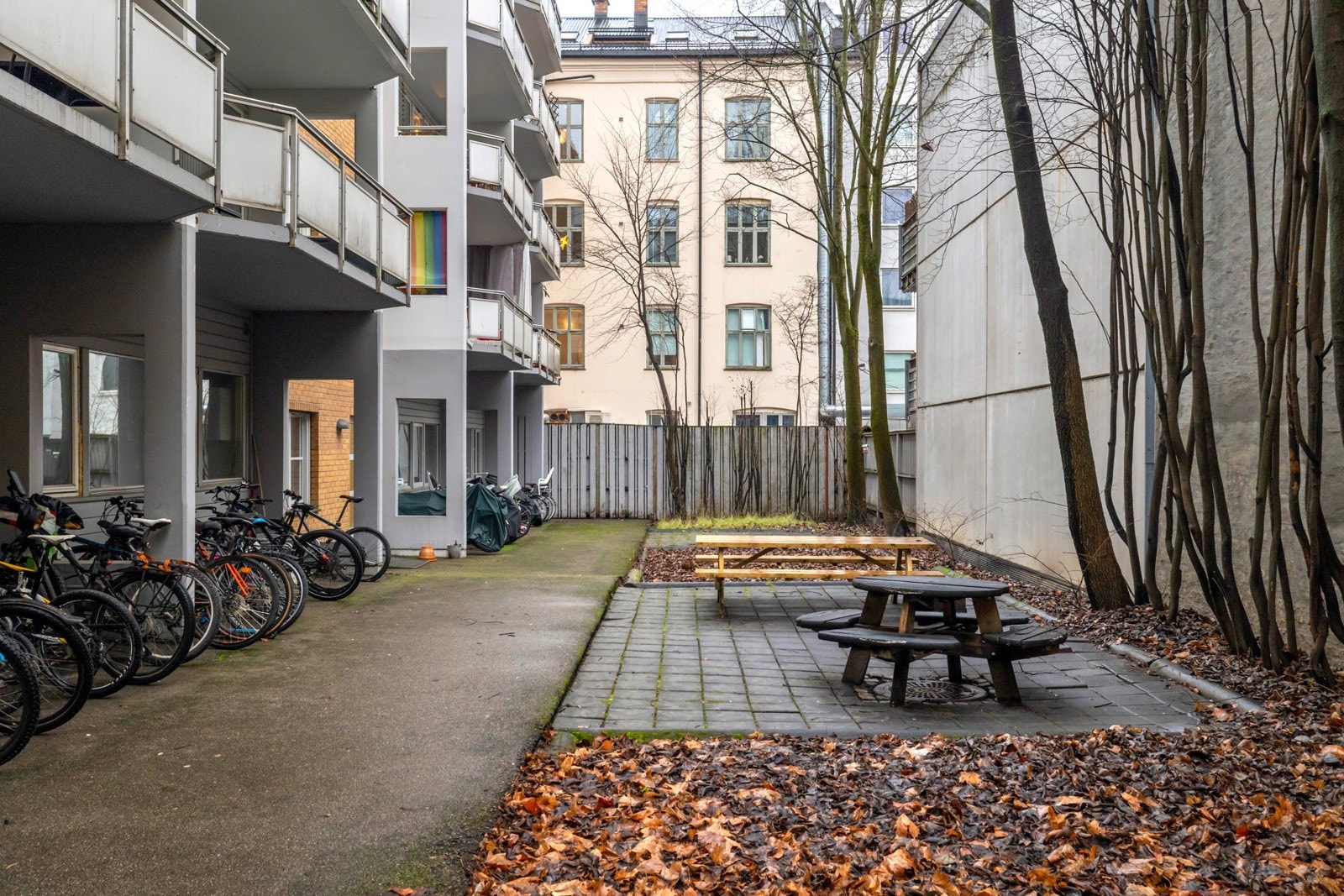 Bakgård Galleribilde