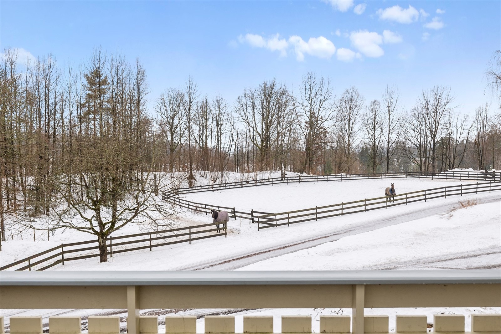 Utsikten fra terrassen og stuen. Galleribilde