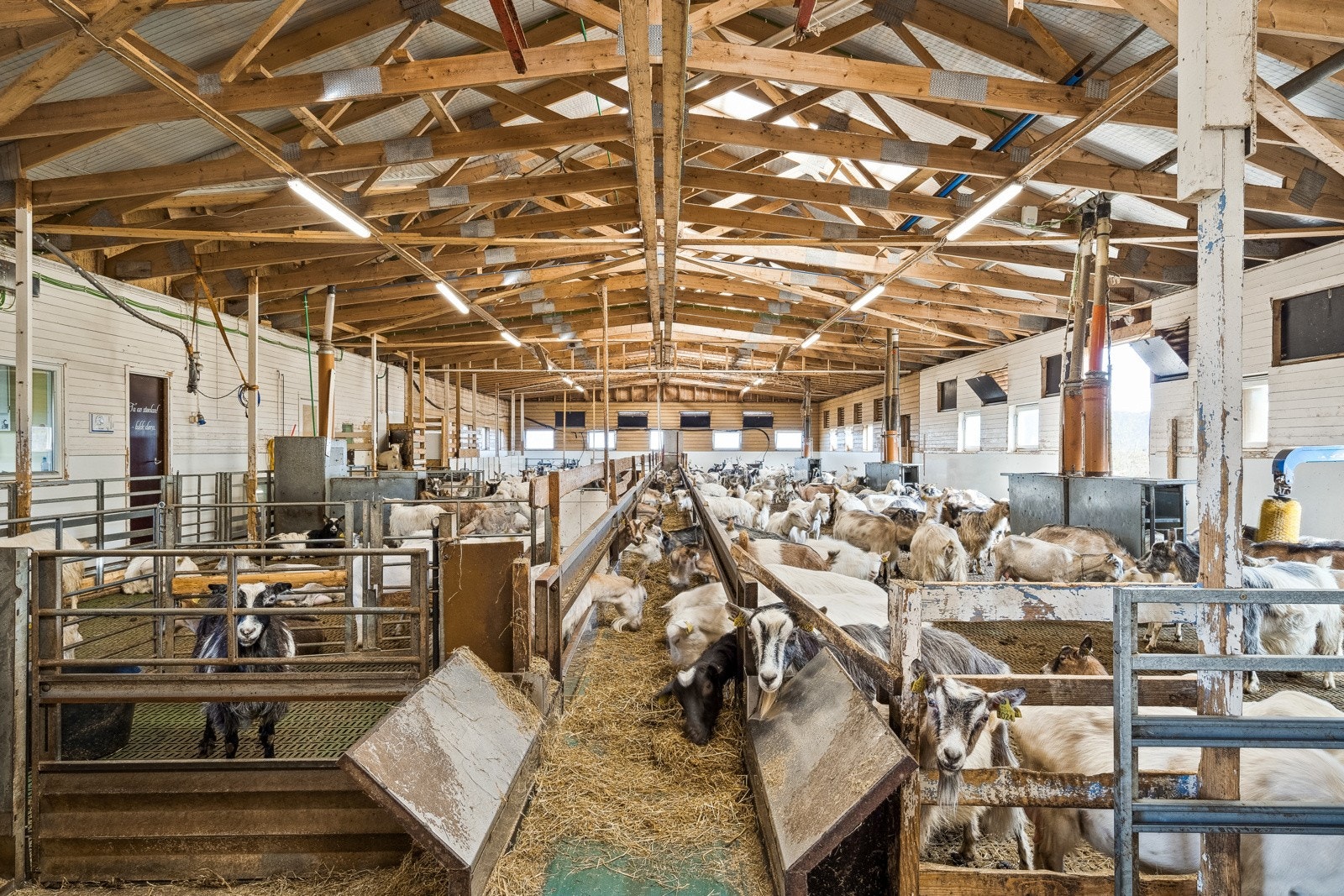 Driftsbygning Galleribilde