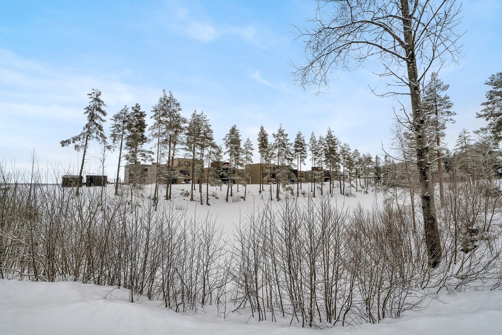 Velkommen til en hyggelig visning! Galleribilde