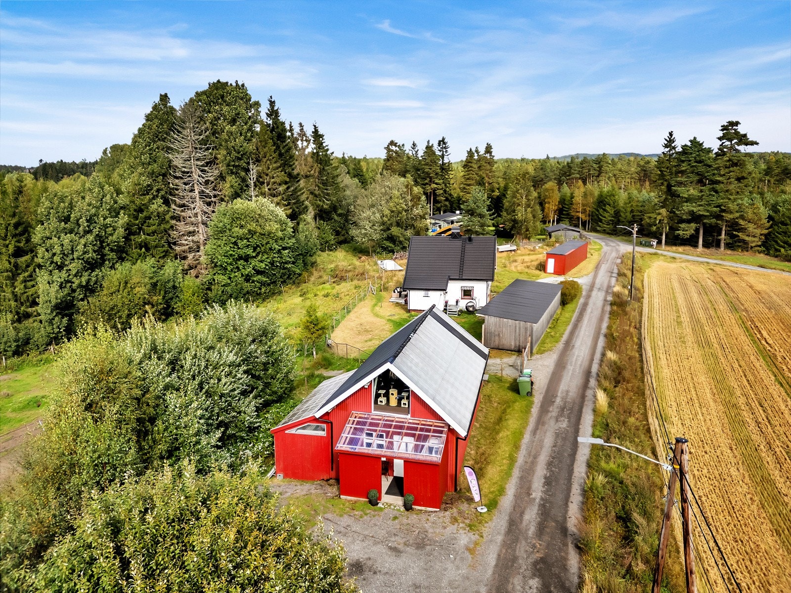 Kattehotellet Galleribilde