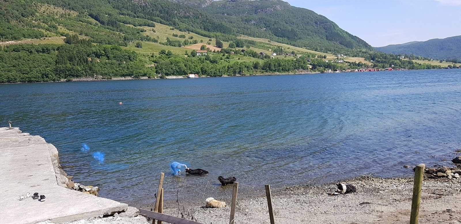 Privat bilde fra strand/badeplass Galleribilde