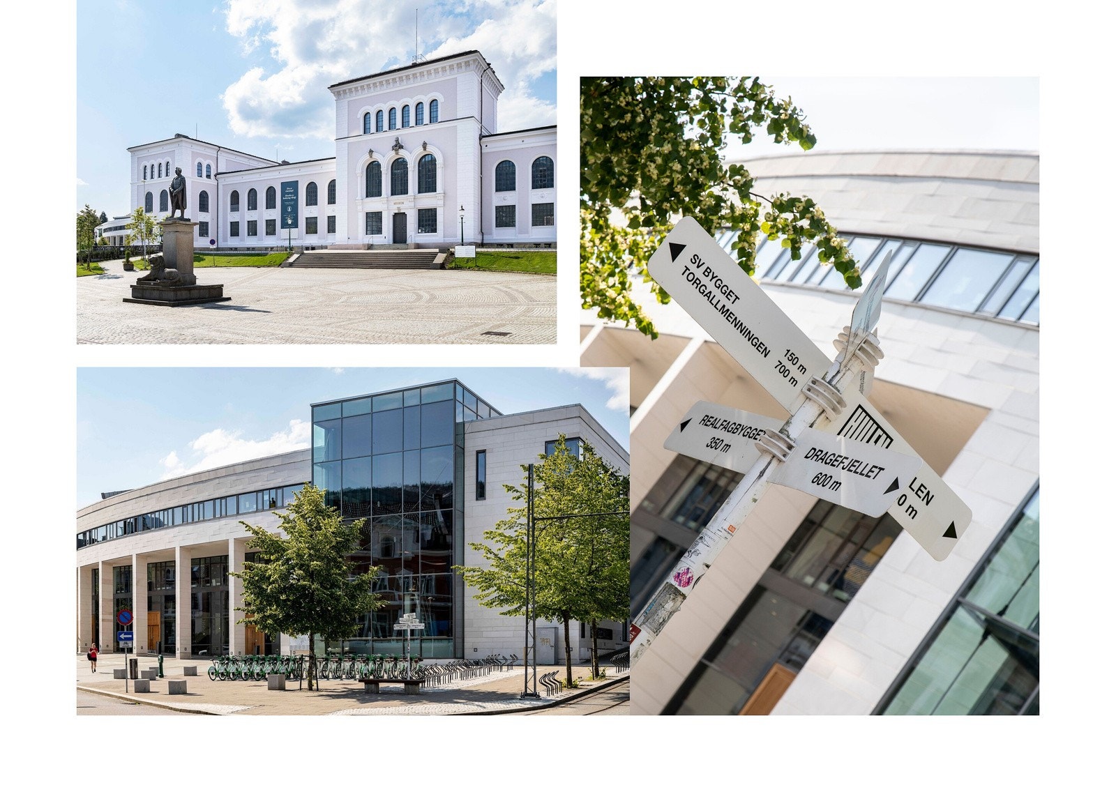 Studentsenteret på Nygårdshøyden ligger i kort gangavstand og tilbyr treningssenter, svømmebasseng og sosiale møteplasser. Området gir enkel tilgang til både UIB og BI. Galleribilde