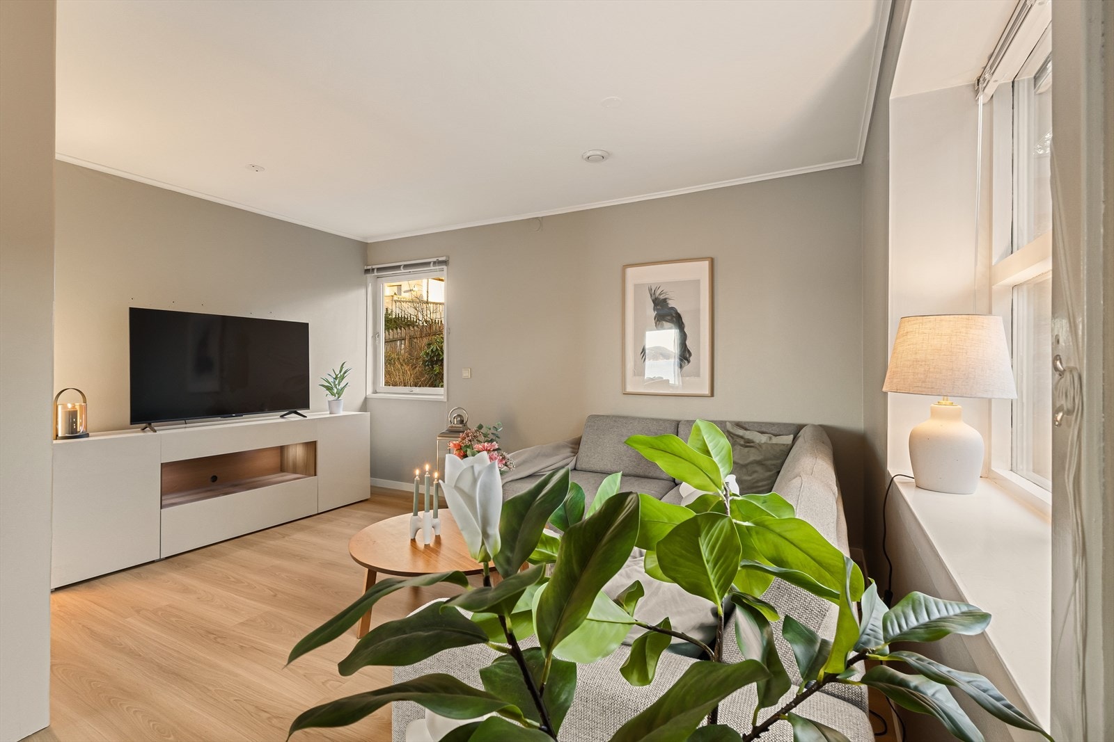 Lun og skjermet tv-stue i enden Galleribilde