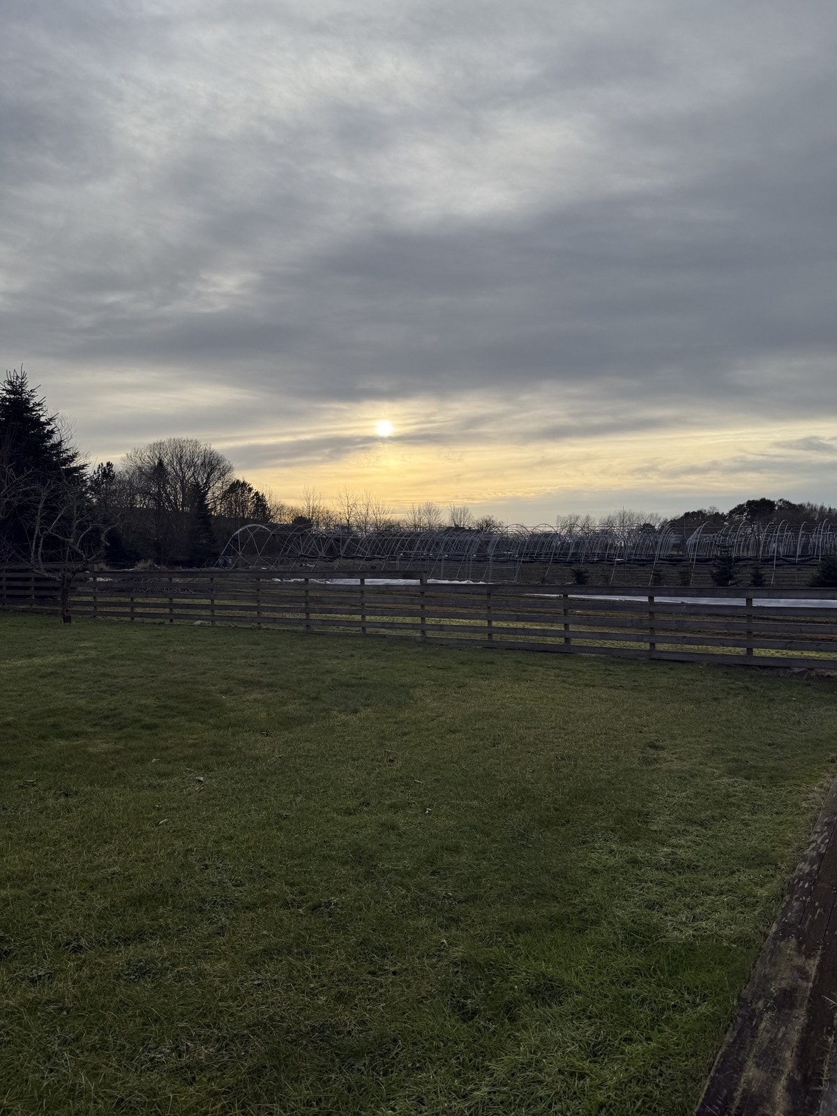 Uteområdet Galleribilde