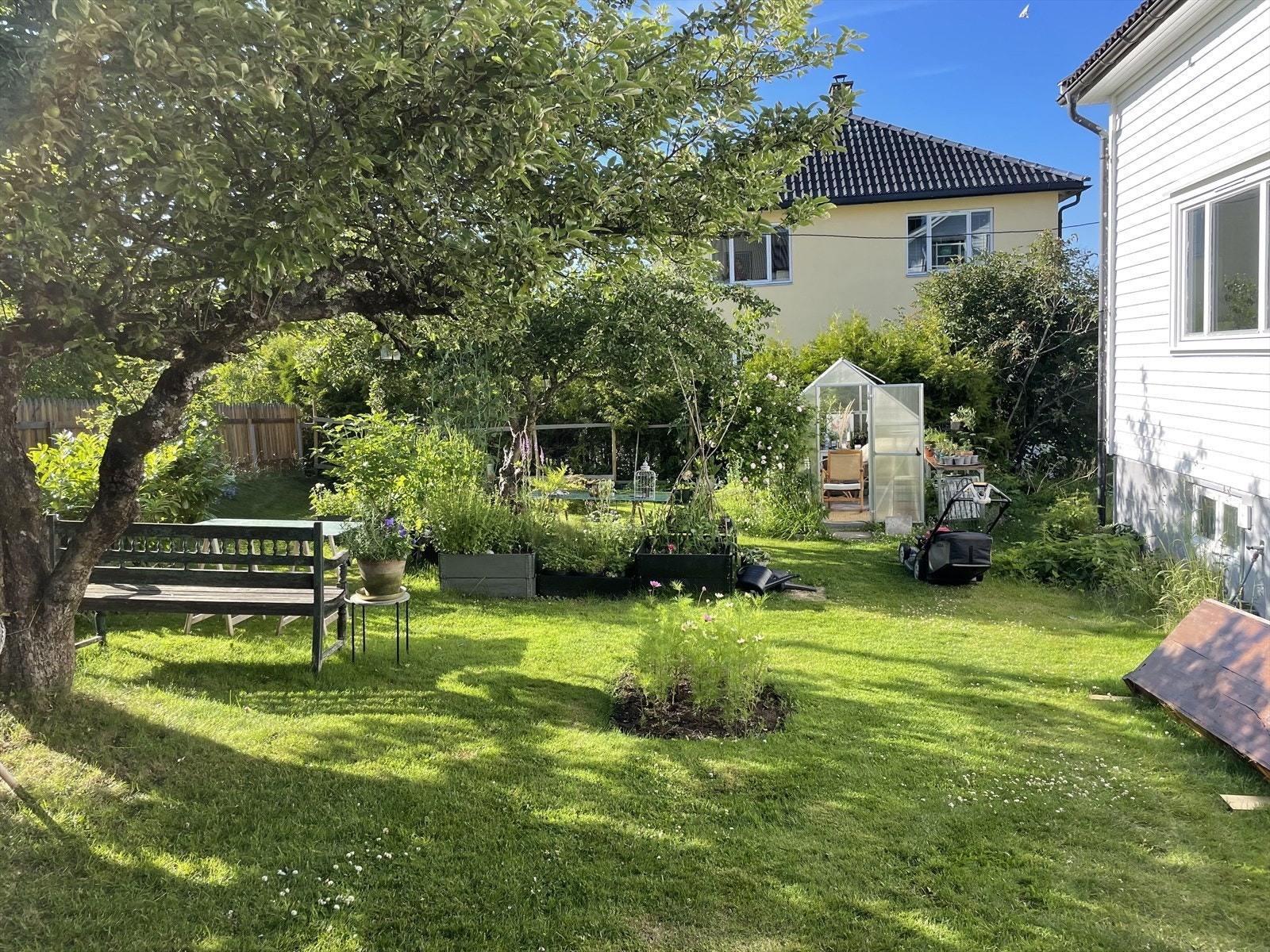 Sommerbilde fra selger. Galleribilde