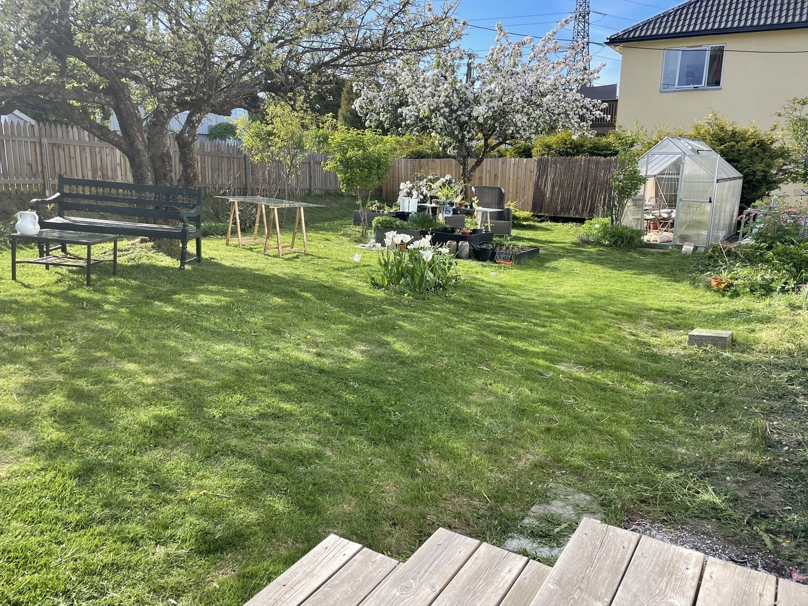 Sommerbilde fra selger. Galleribilde