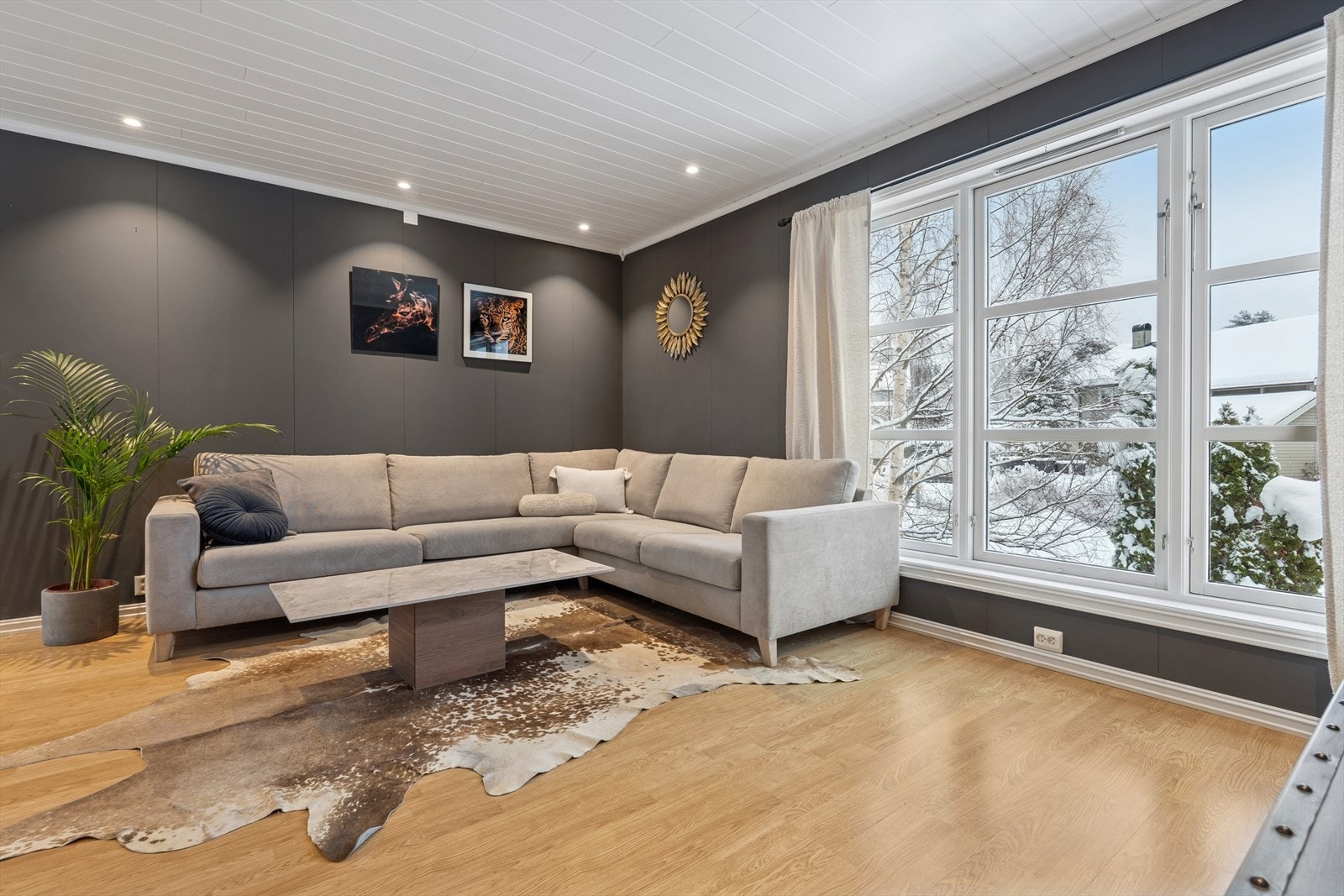 Store vindusflater gir godt med dagslys og og fin utsikt, uten særlig innsyn. Galleribilde