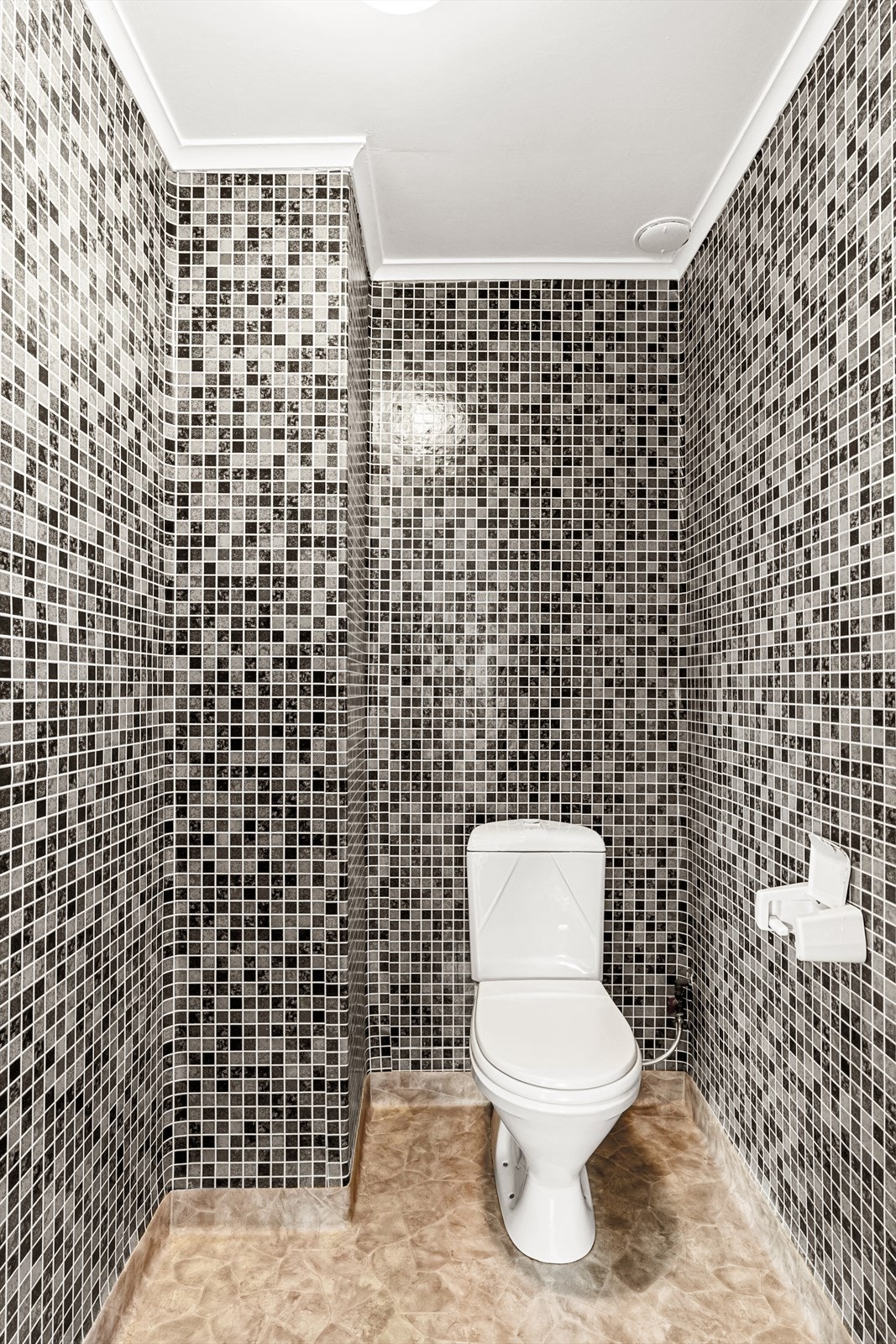 Separat toalett Galleribilde