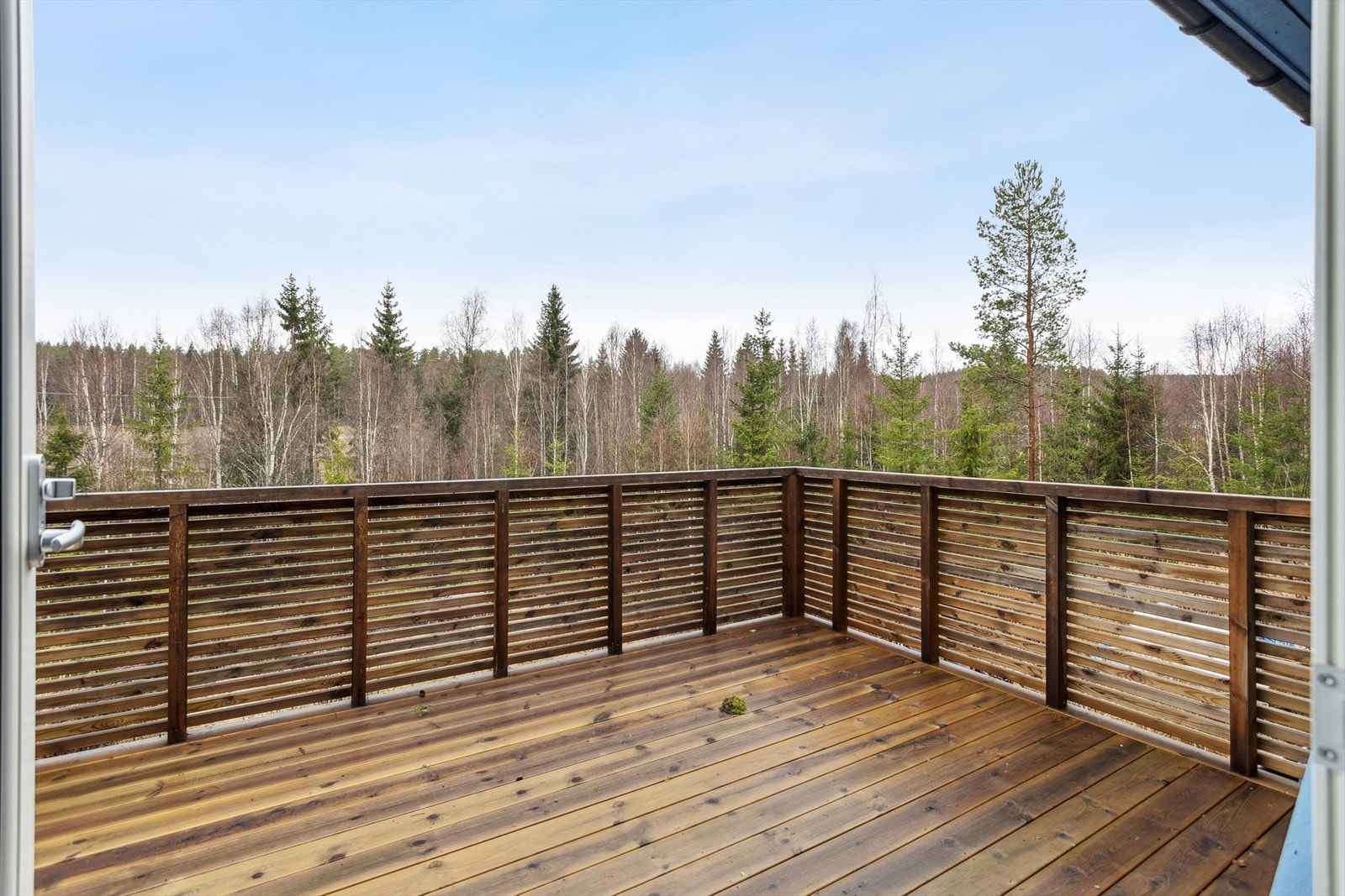 Fra uteplassene har man en åpen utsikt over den omkringliggende skogen. Galleribilde