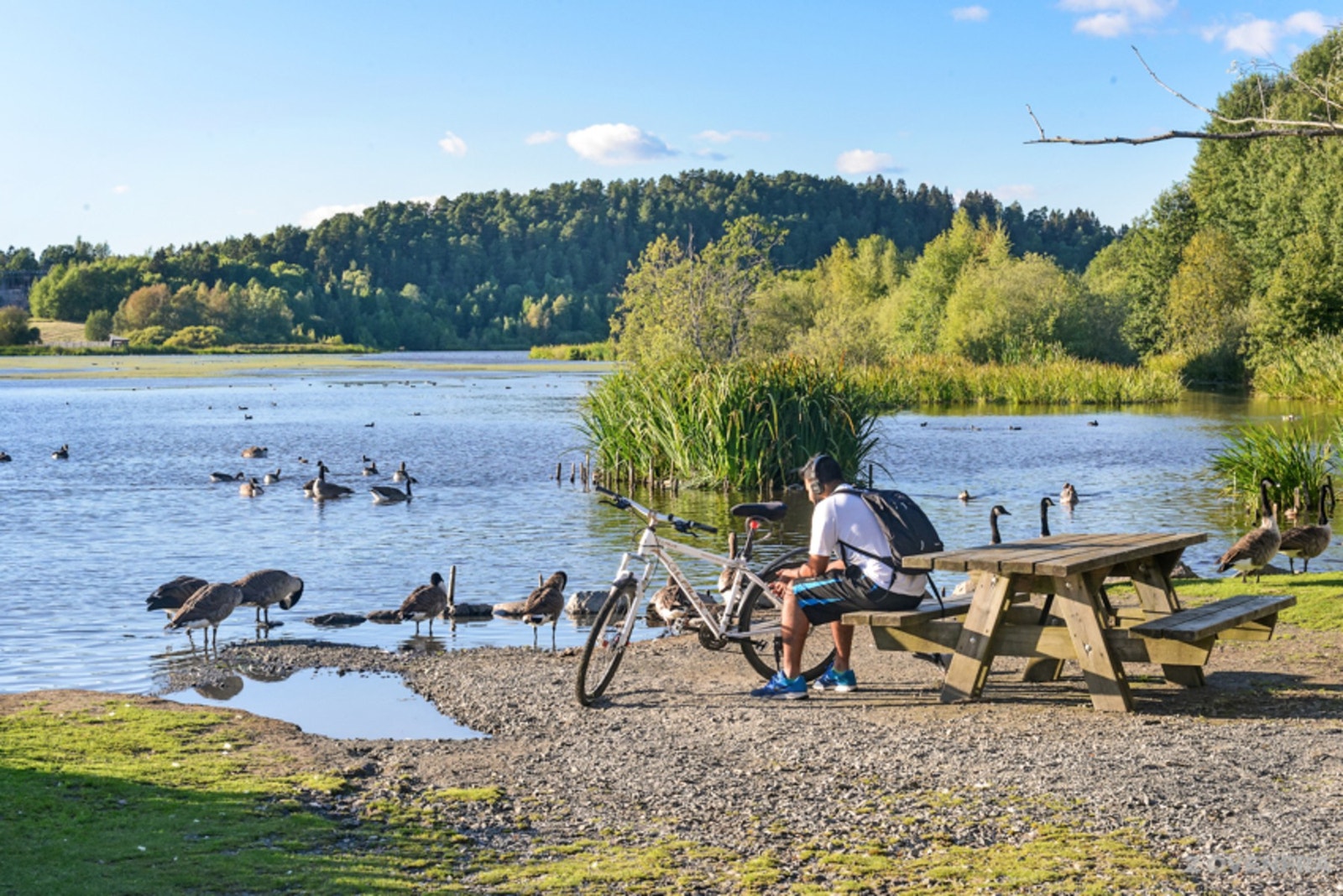 Nærhet til Østensjøvannet med fantastisk natur Galleribilde