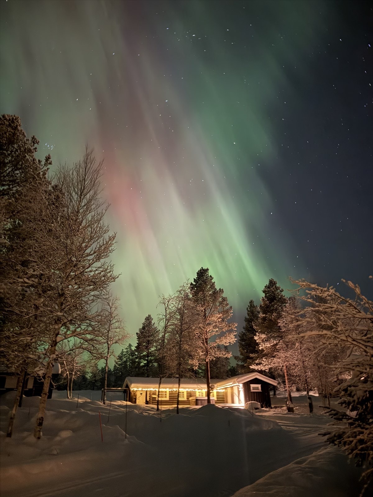 Beliggenheten på fjellet gir mulighet for unike naturopplevelser rett utenfor døren. Privat foto. Galleribilde
