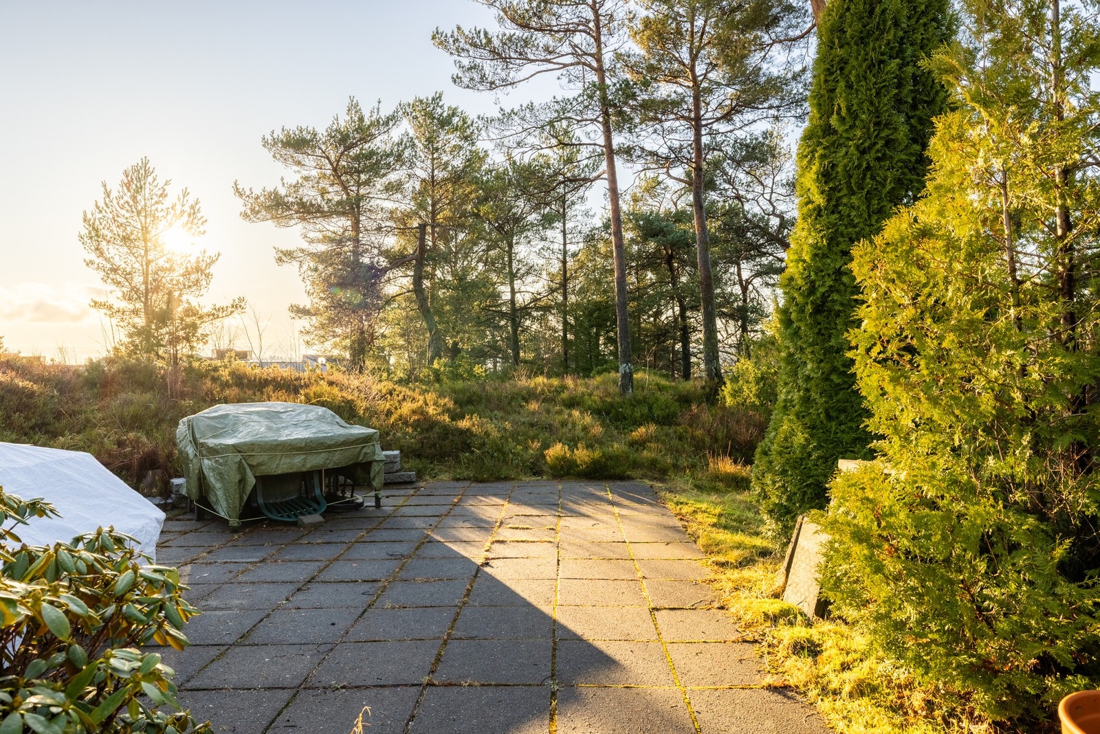 Fine uteområder til glede for beboerne. Galleribilde