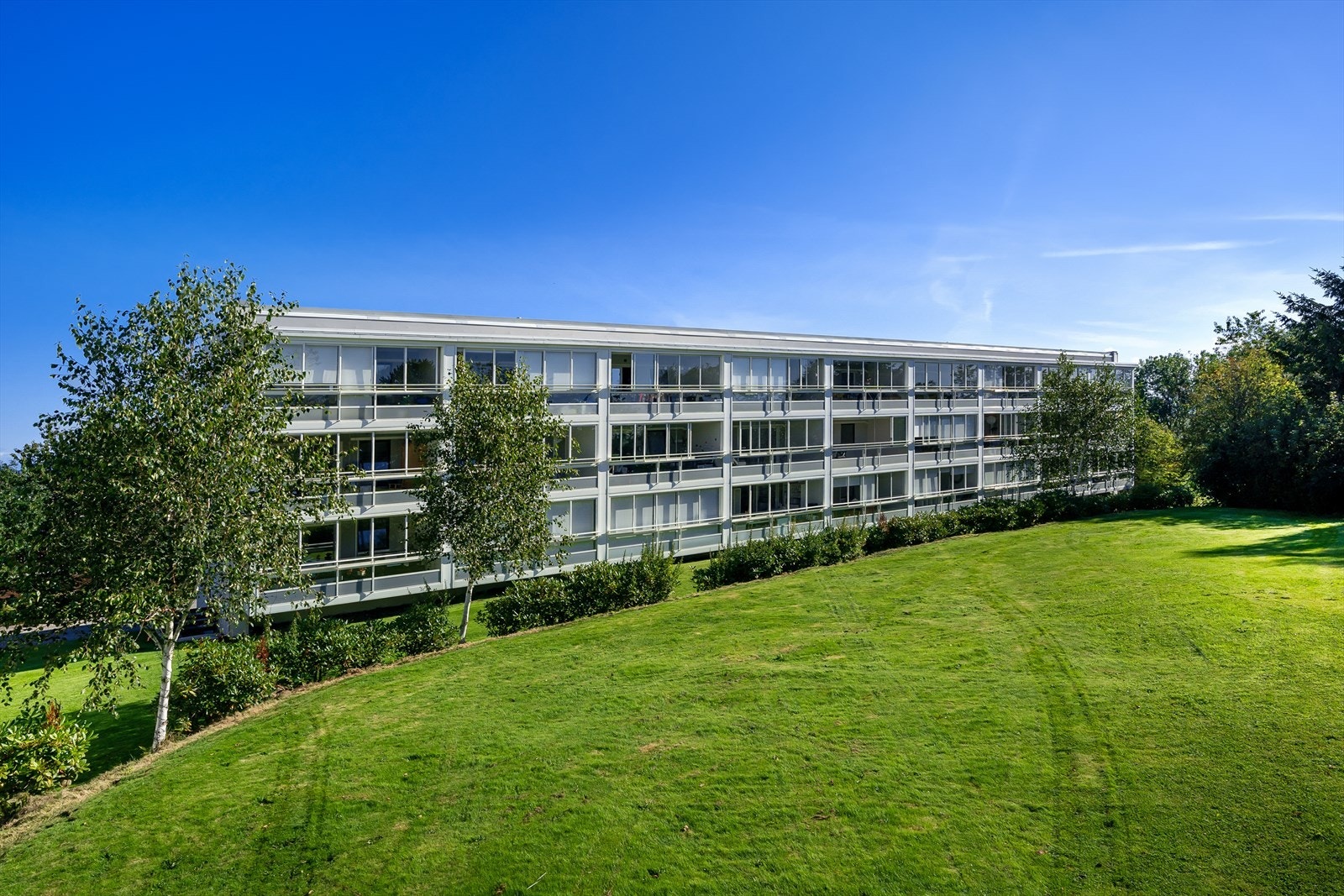 Leiligheten ligger fint til med flott utsikt mot friområde Galleribilde