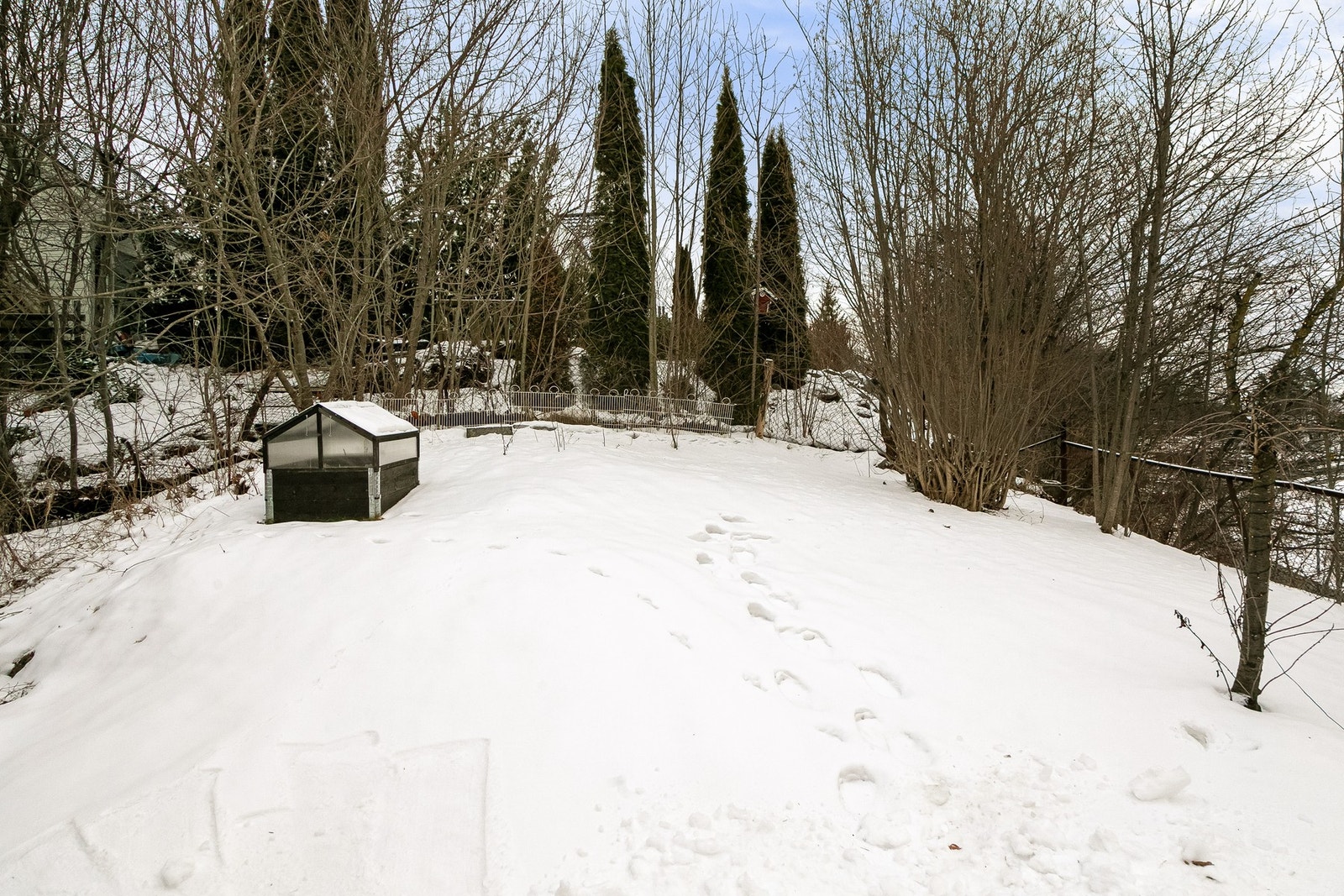 Usjenert og solrik hage som er inngjerdet og privat Galleribilde