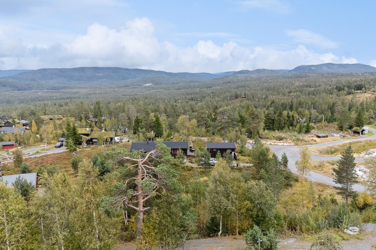 Flott utsikt fra hytta Galleribilde