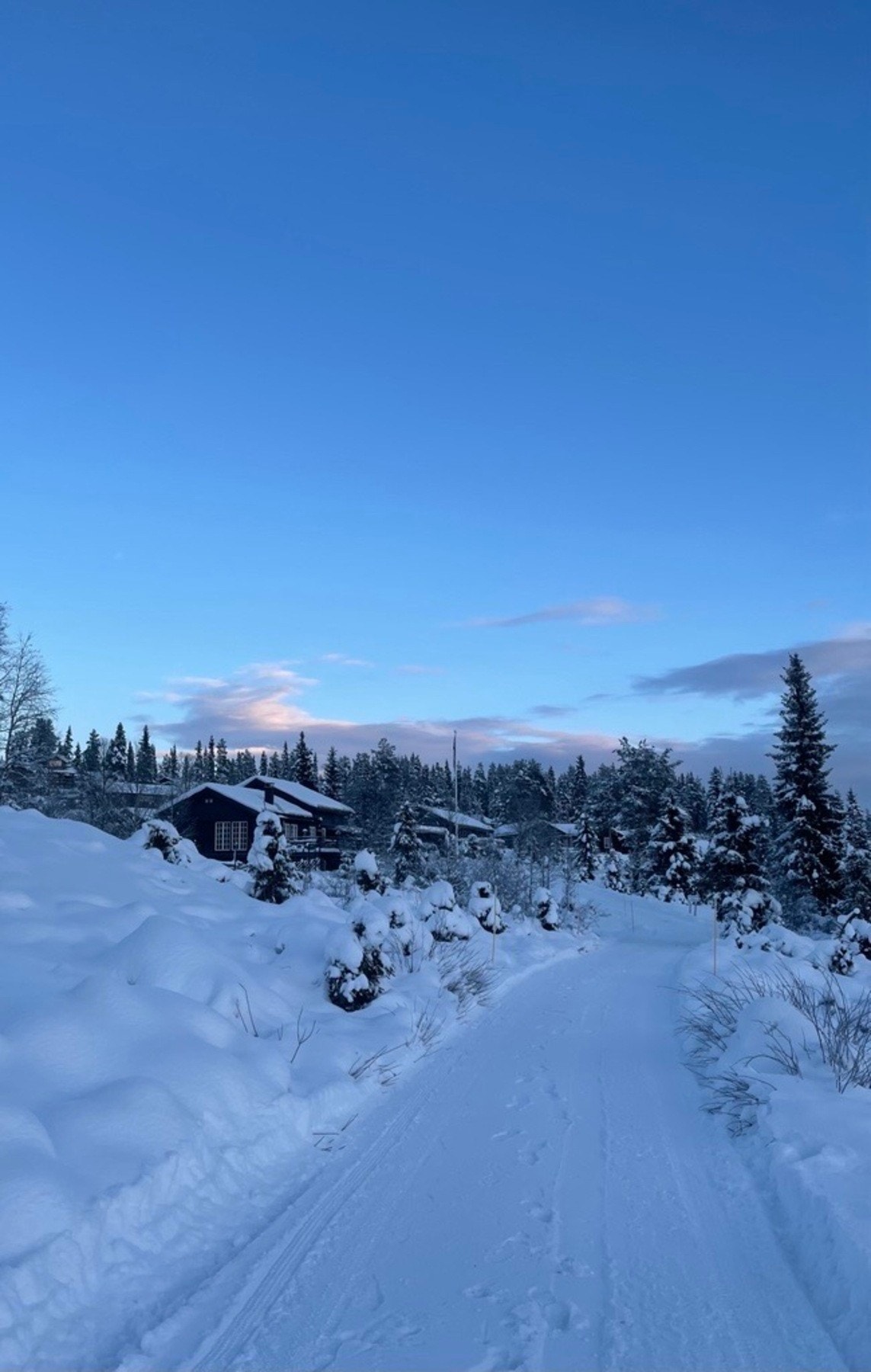 Sentral og fin beliggenhet i Tisleidalen, med kort avstand til skiløyper, Tisleia og Joker Fjellbu. Galleribilde