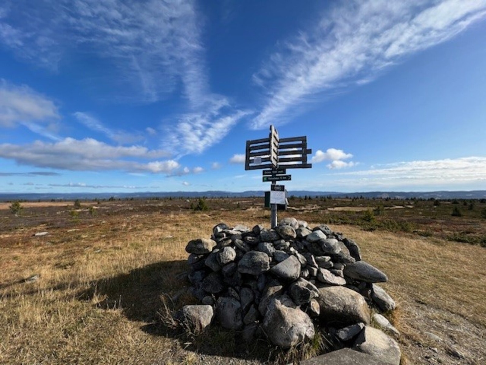 Selgers eget bilde. Galleribilde