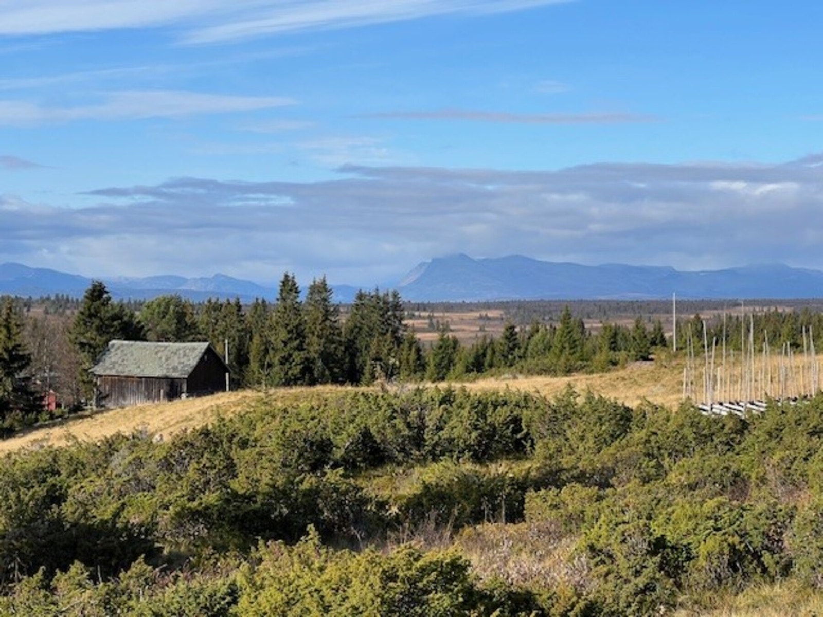 Aktiviteter i området, bl.a Mjølkevegen, skiløyper, fiske, sykkel, turer til fine fjelltopper, seterdrift og stølskafè, samt Valdres Golf og alpinsenter både på Storefjell og i Aurdal (selgers eget bilde). Galleribilde