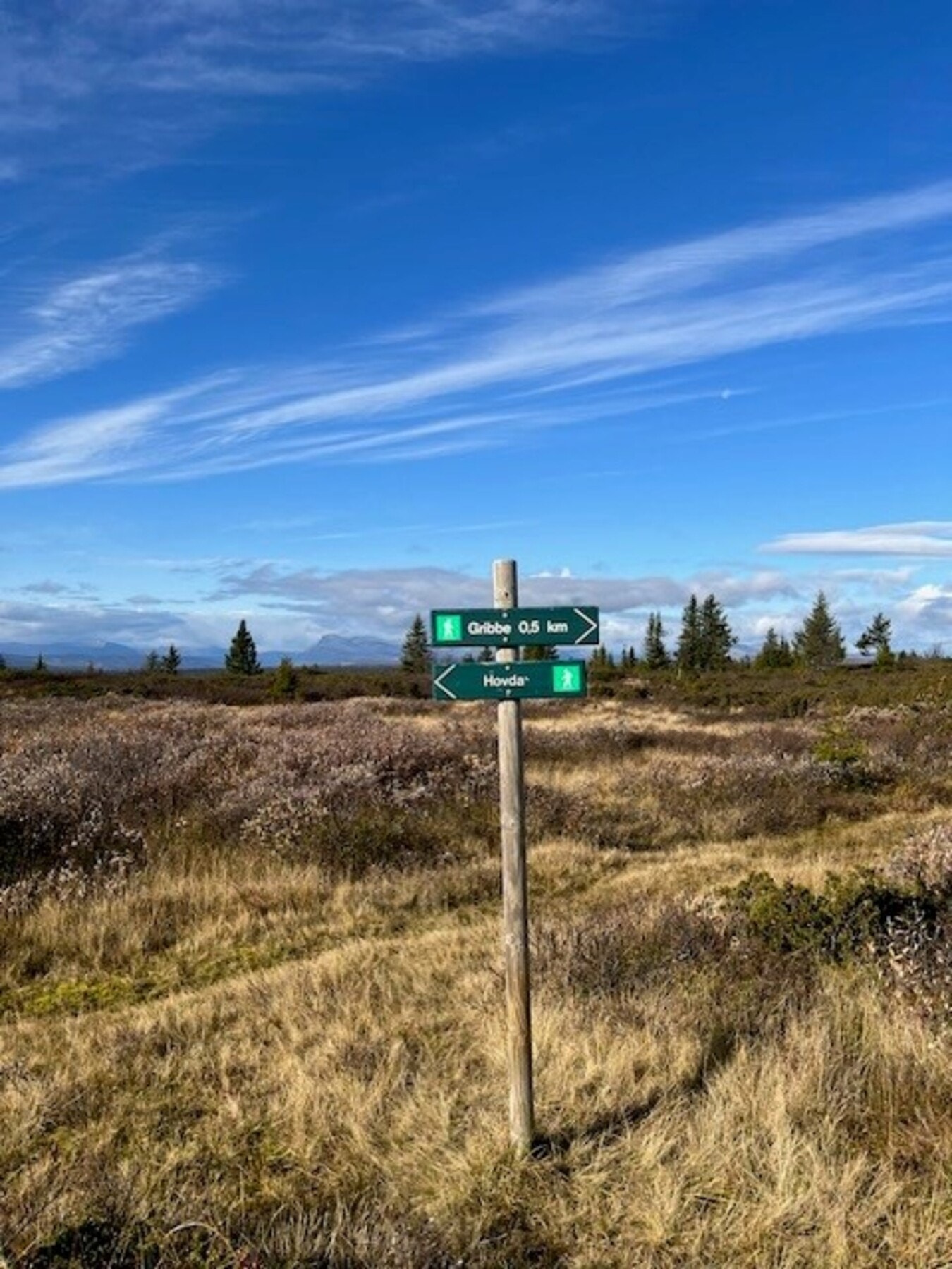 Selgers eget bilde. Galleribilde