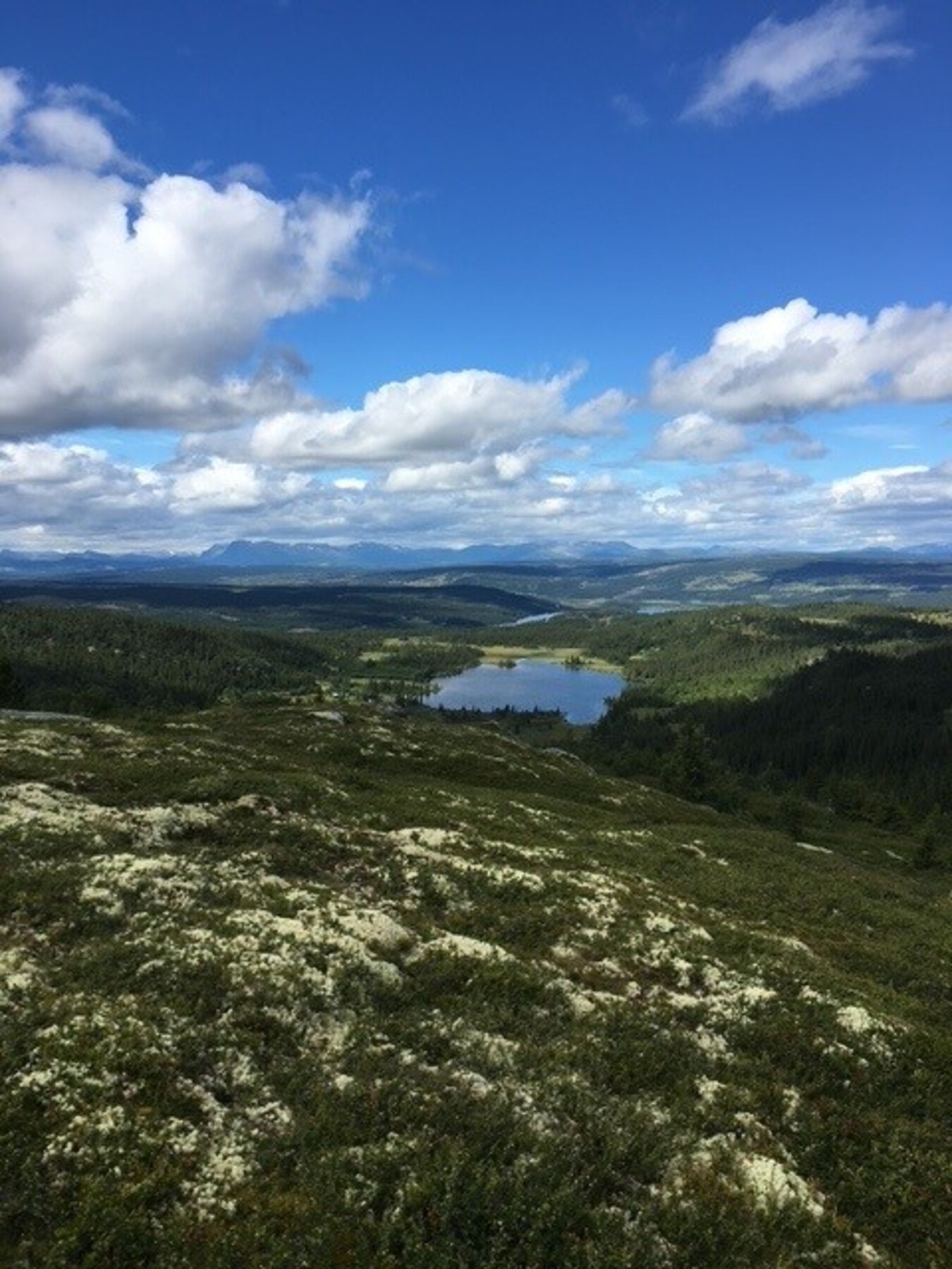 Eiendommen ligger i nærhet til både Stølsvidda og Golsfjellet, som er et svært attraktivt som tur- og friluftsområde (selgers eget bilde). Galleribilde