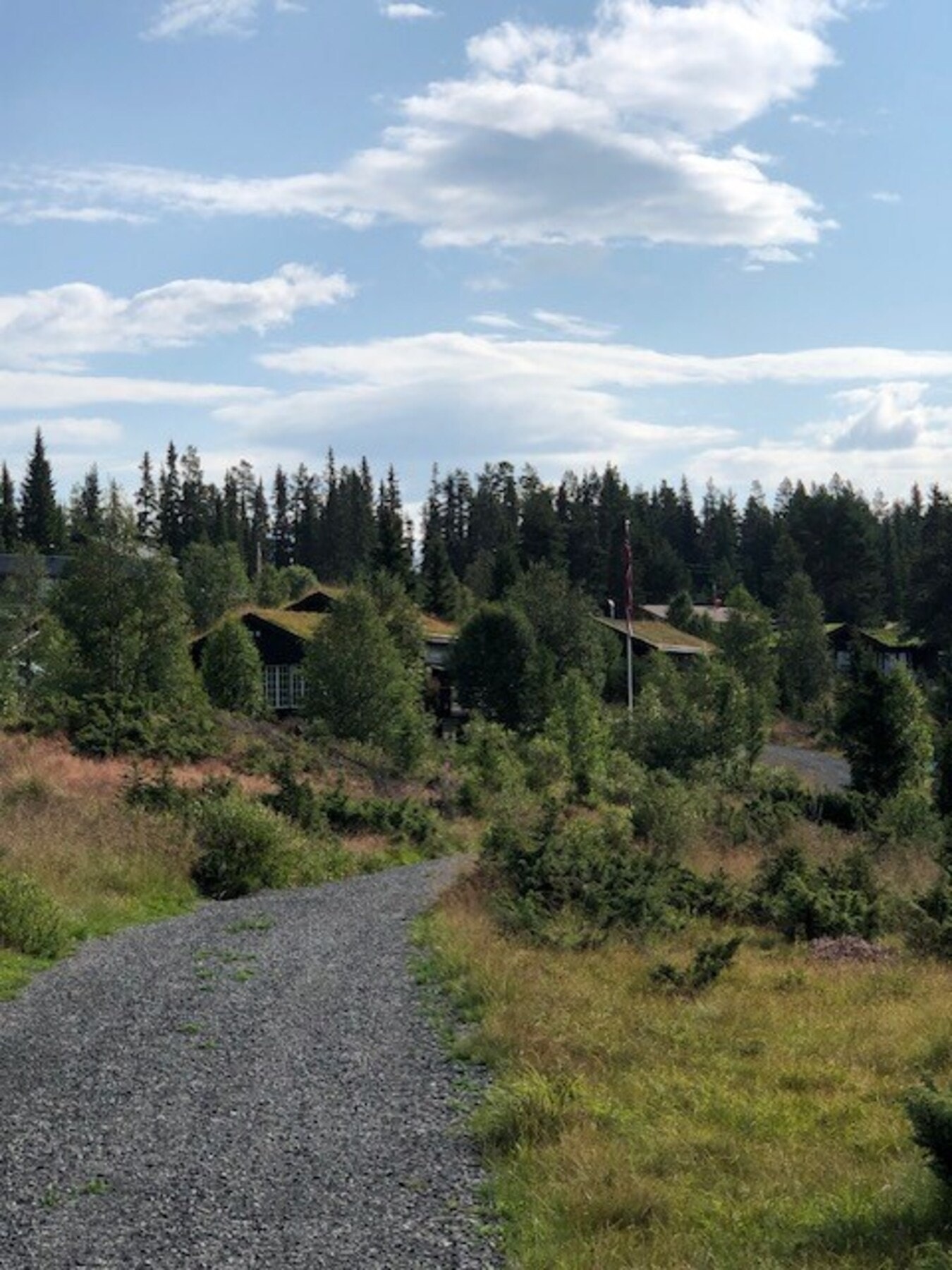 Mjølkevegen som ligger i området er kåret til en av Norges flotteste turer på sykkel (selgers eget bilde). Galleribilde