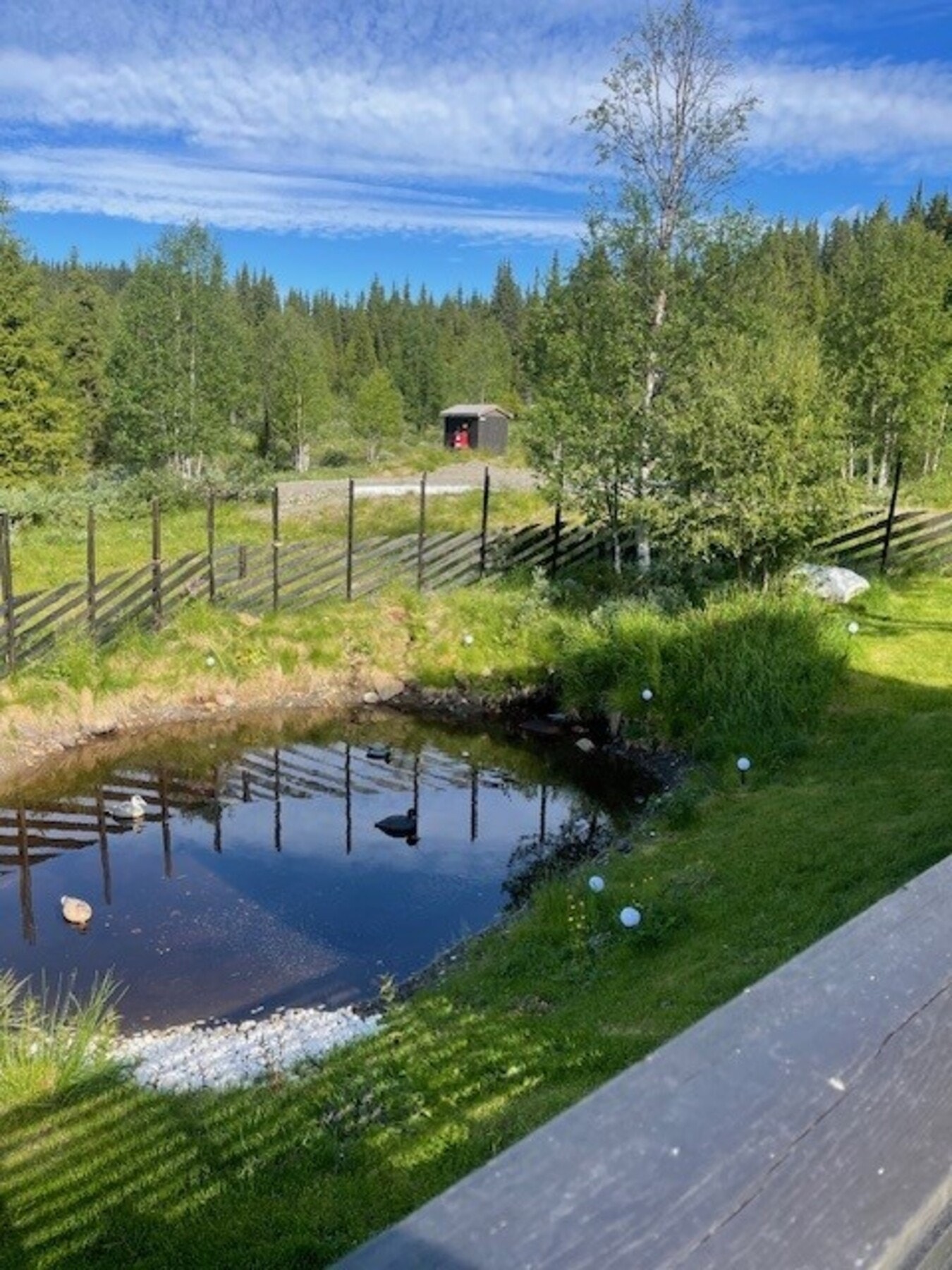 En koselig dam inne på eiendommen. Galleribilde