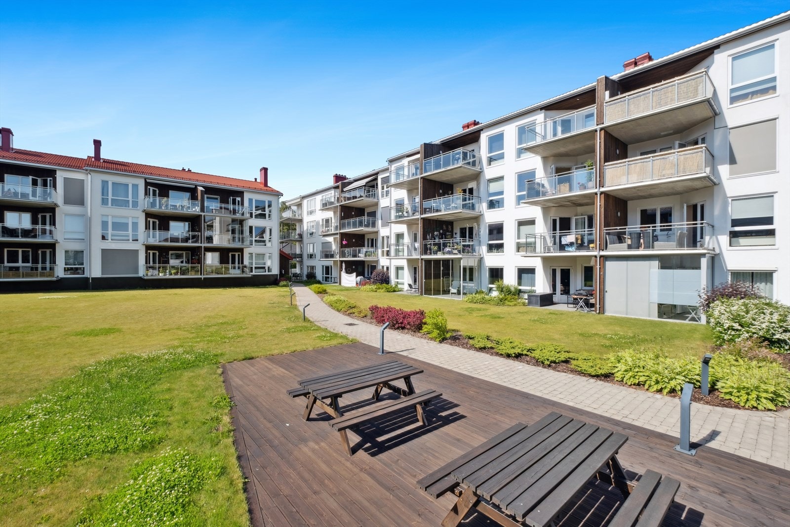 Sameiet har en hyggelig og frodig bakgård med sosiale soner. Galleribilde