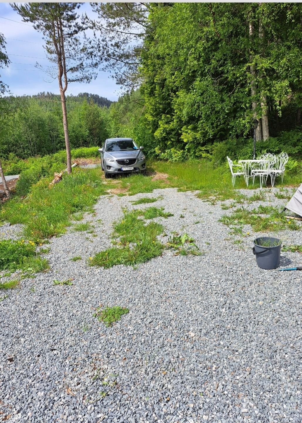 Plass foran hytta Galleribilde