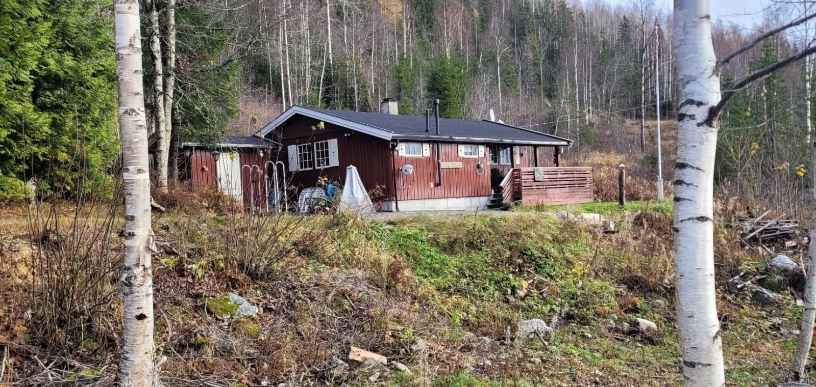 Hytta fra veien Galleribilde