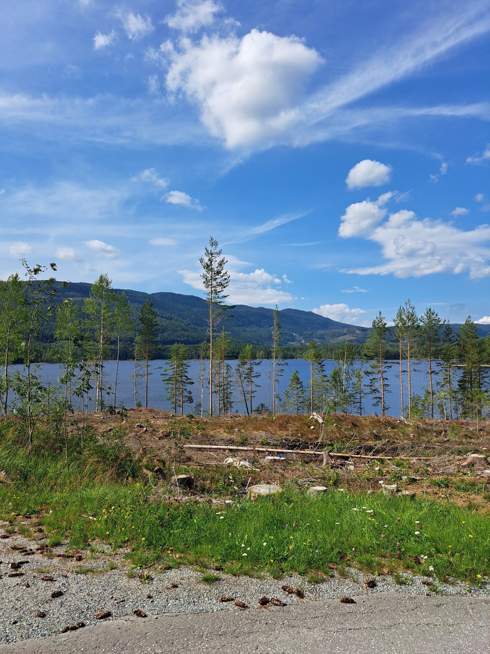 Hovedveien opp til hytta- Brekkebygdveien Galleribilde