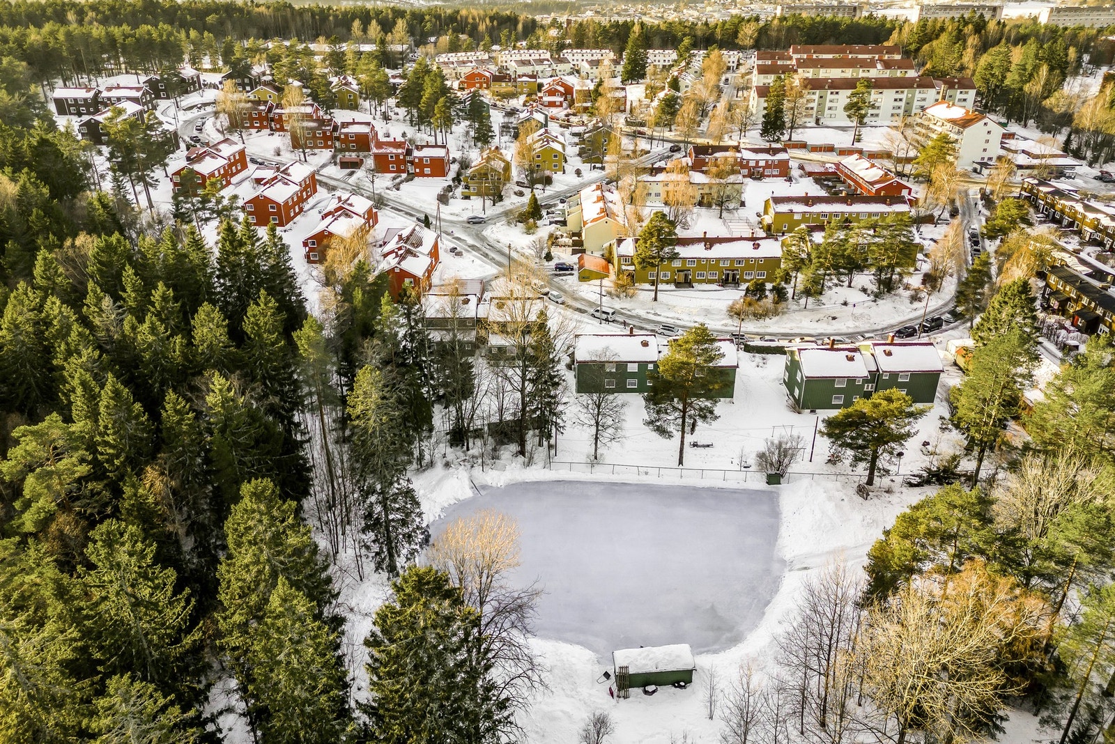 Lokale skøyteisen "Pettersen" på Bøler, på grensen mot marka. Galleribilde