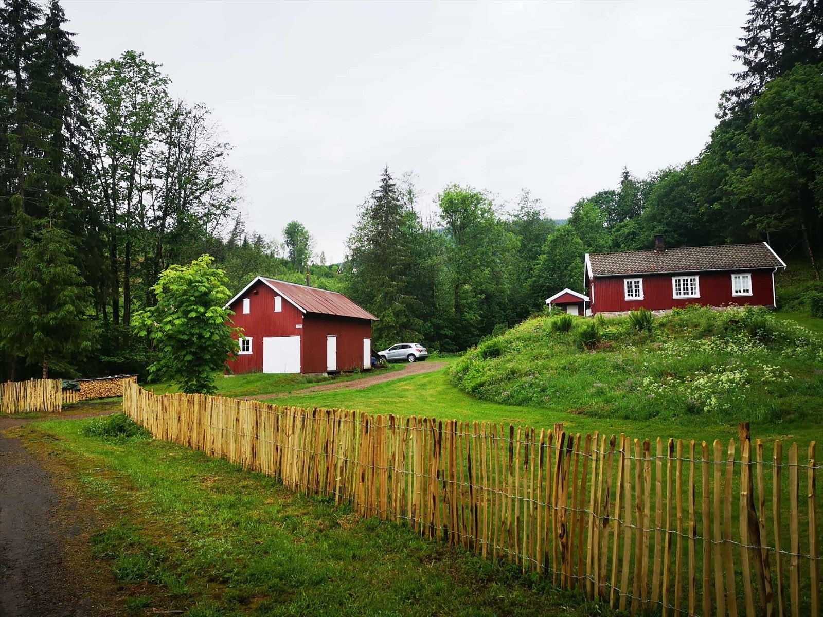 Selgers sommerbilde Galleribilde