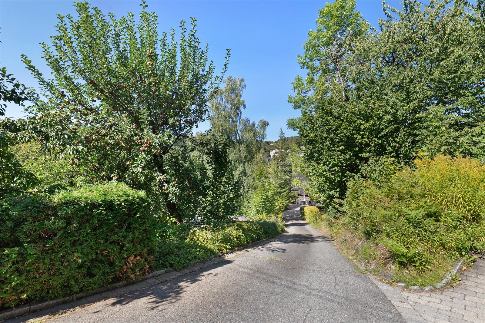 Adkomst som er asfaltert og har varmekabler Galleribilde