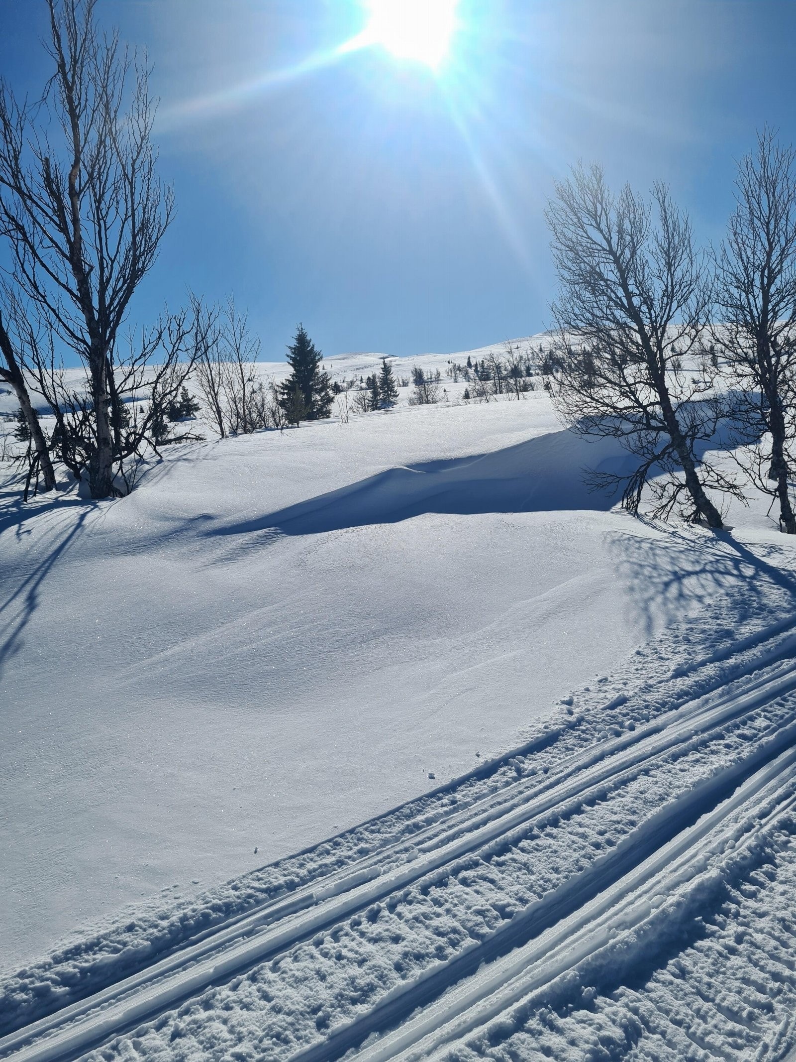 Flotte skiløyper i området. Bilde fra selgers arkiv Galleribilde