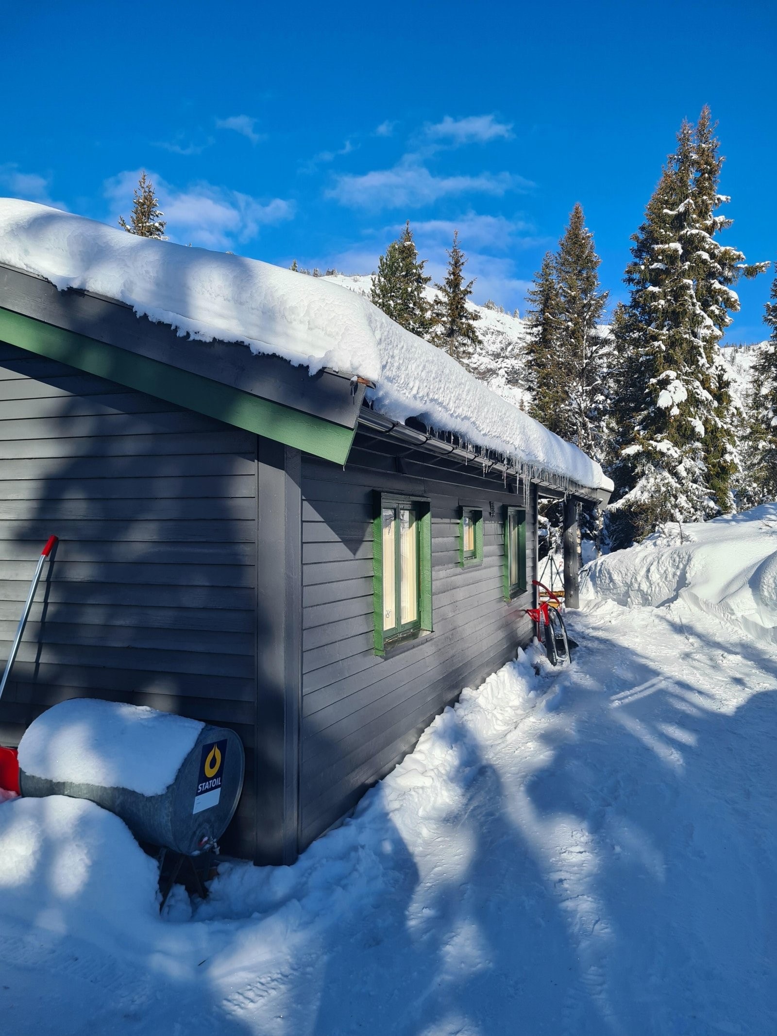 Bilde fra selgers arkiv Galleribilde