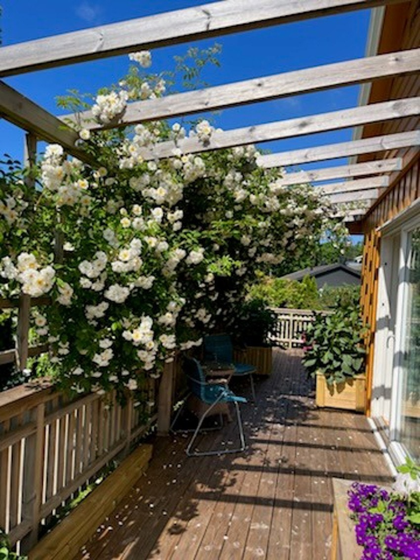 Privat bilde 5 Galleribilde