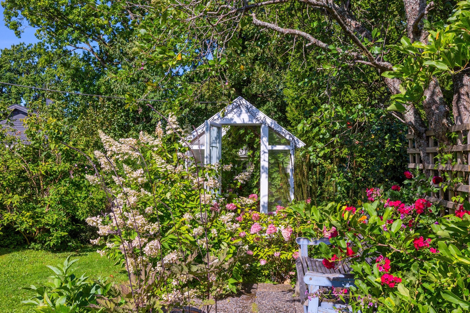 Hage med drivhus Galleribilde