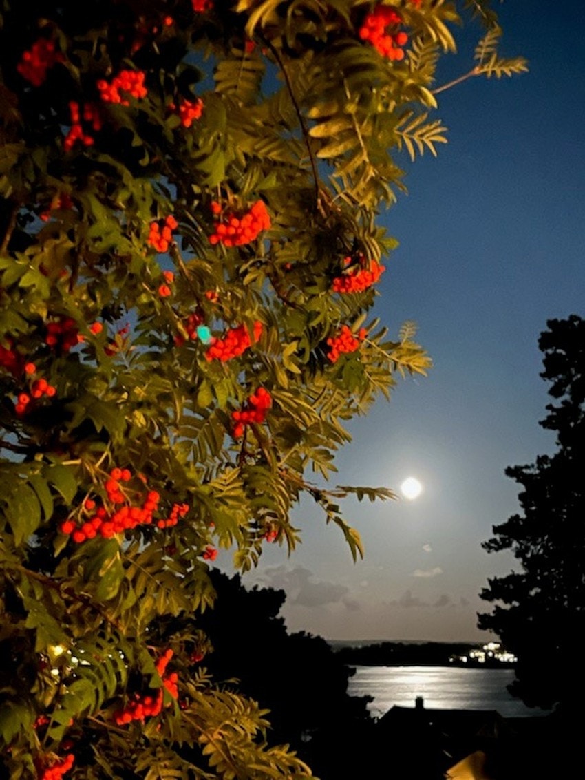 Privat bilde 1 Galleribilde