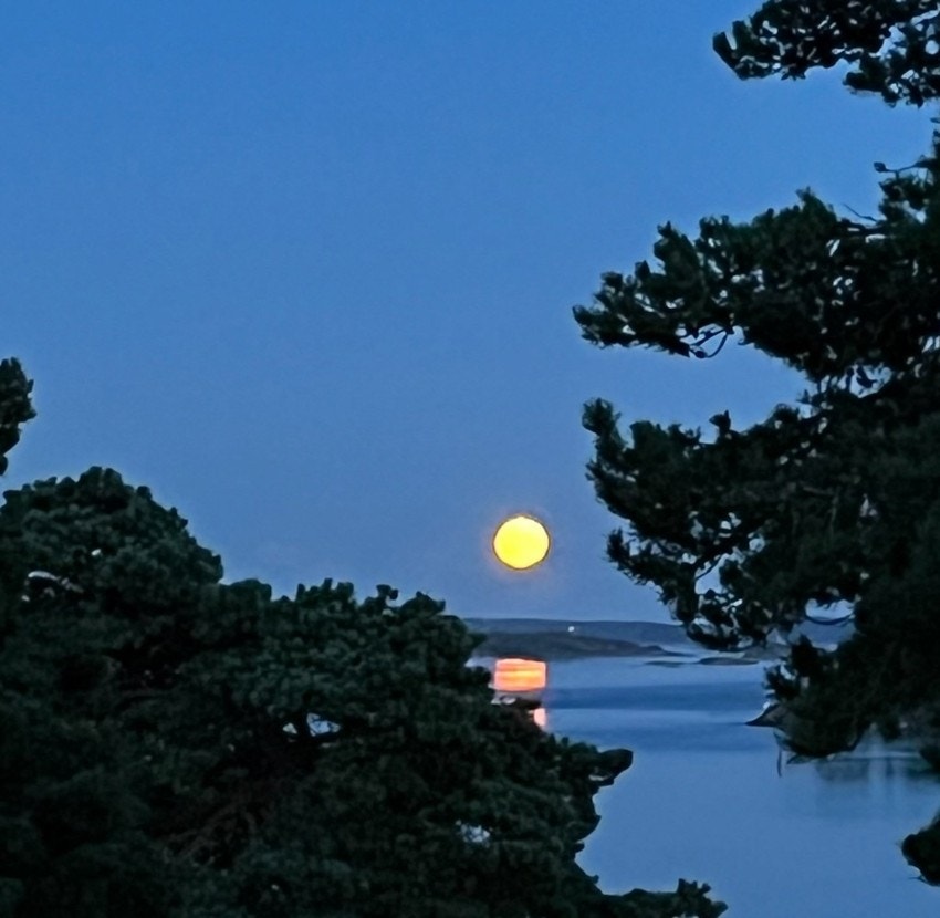 Privat bilde 2 Galleribilde