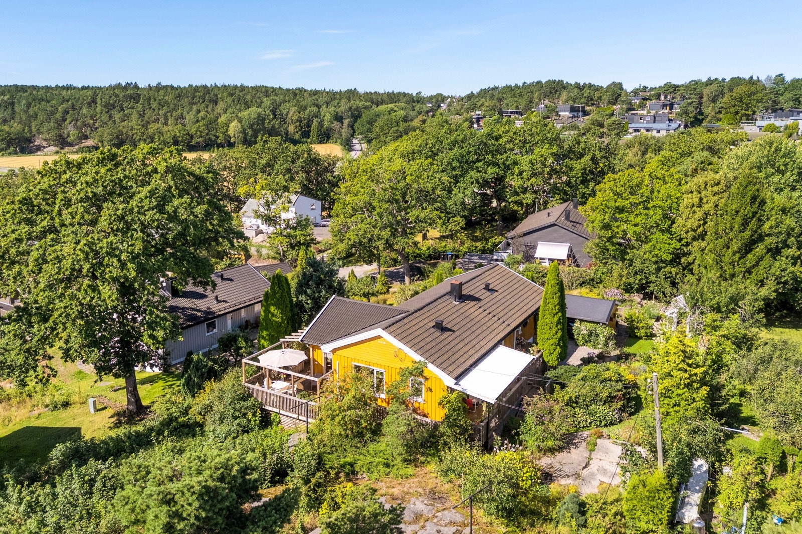 Dronefoto Galleribilde