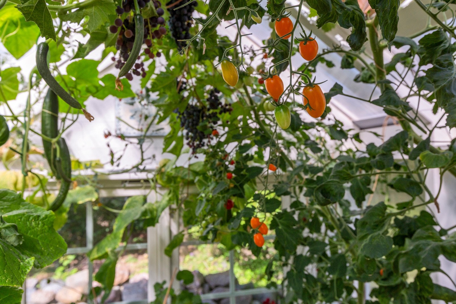 Fra tomten Galleribilde