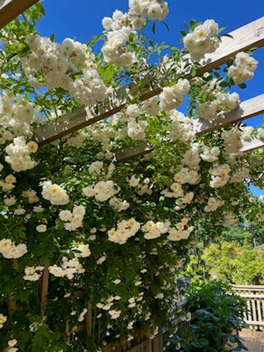 Privat bilde 4 Galleribilde