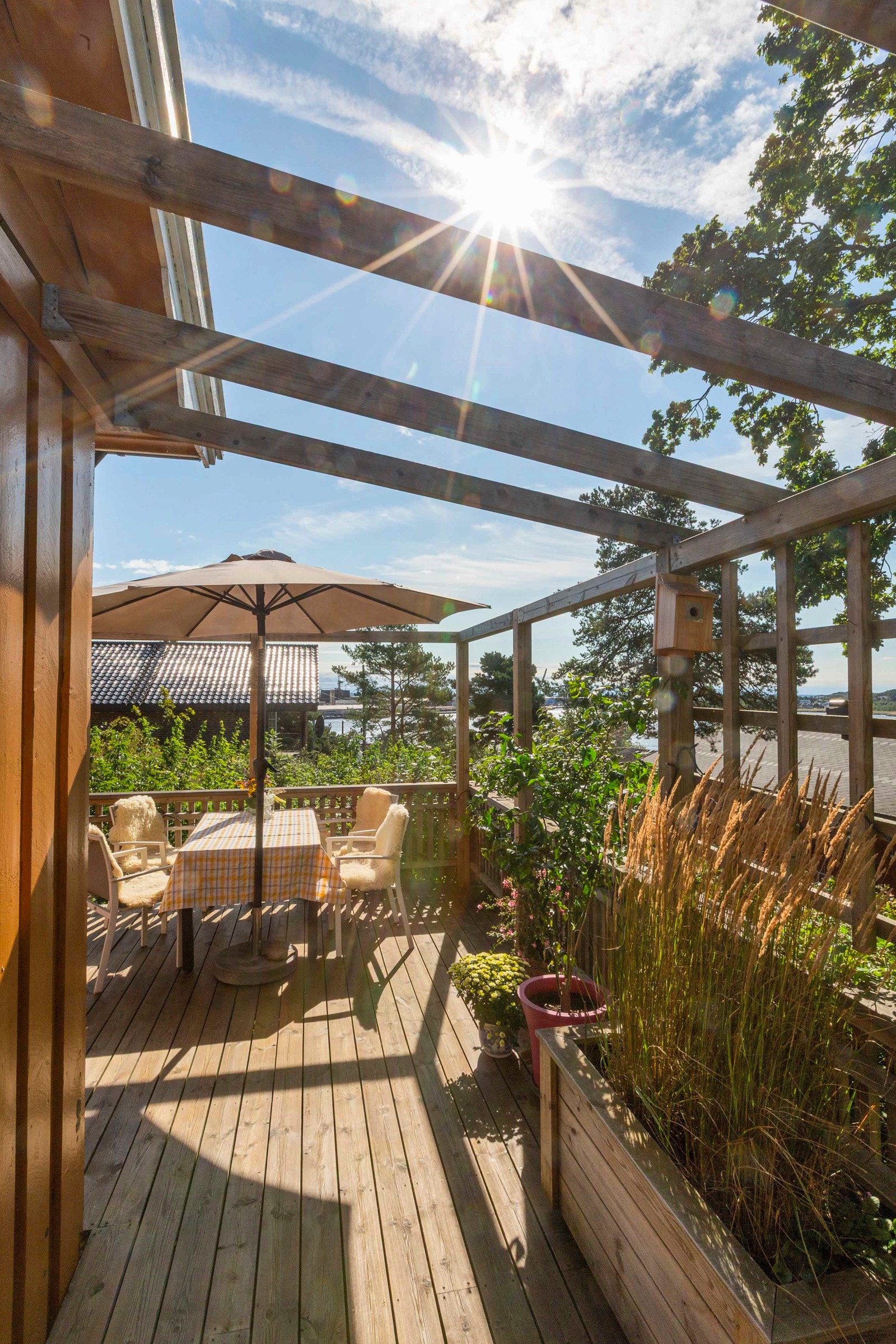 Terrasse Galleribilde