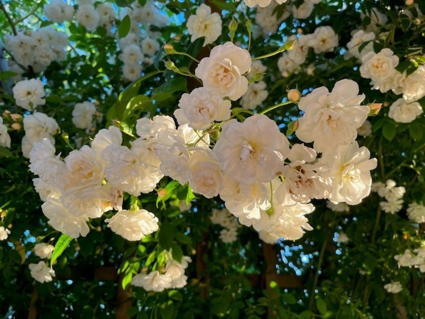 Privat bilde 3 Galleribilde