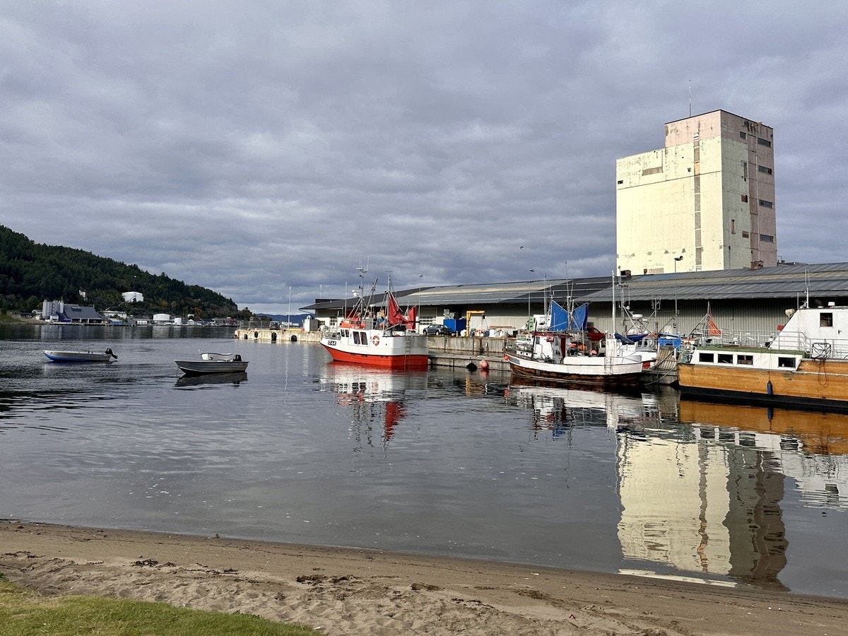 Fiskebåter kommer og går hele tiden Galleribilde